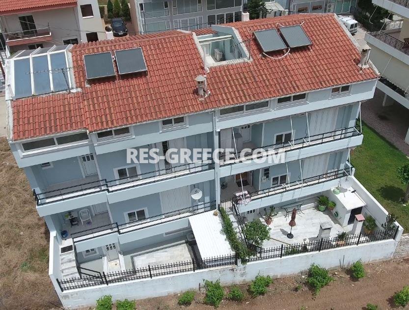 Спарти, Афины-Аттика, Греция -  - Фото 12