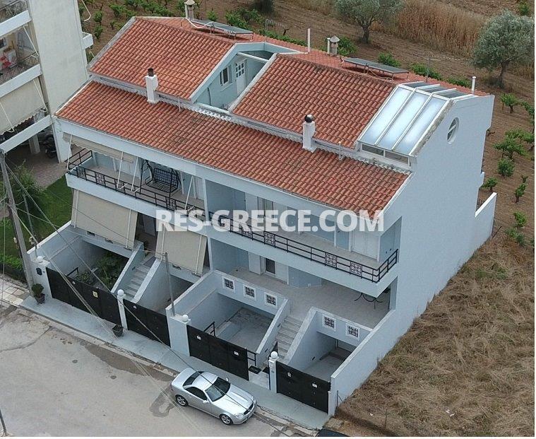 Спарти, Афины-Аттика, Греция -  - Фото 11