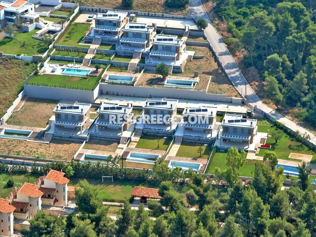 Додо Сани, Халкидики-Кассандра, Греция -  - Фото 7