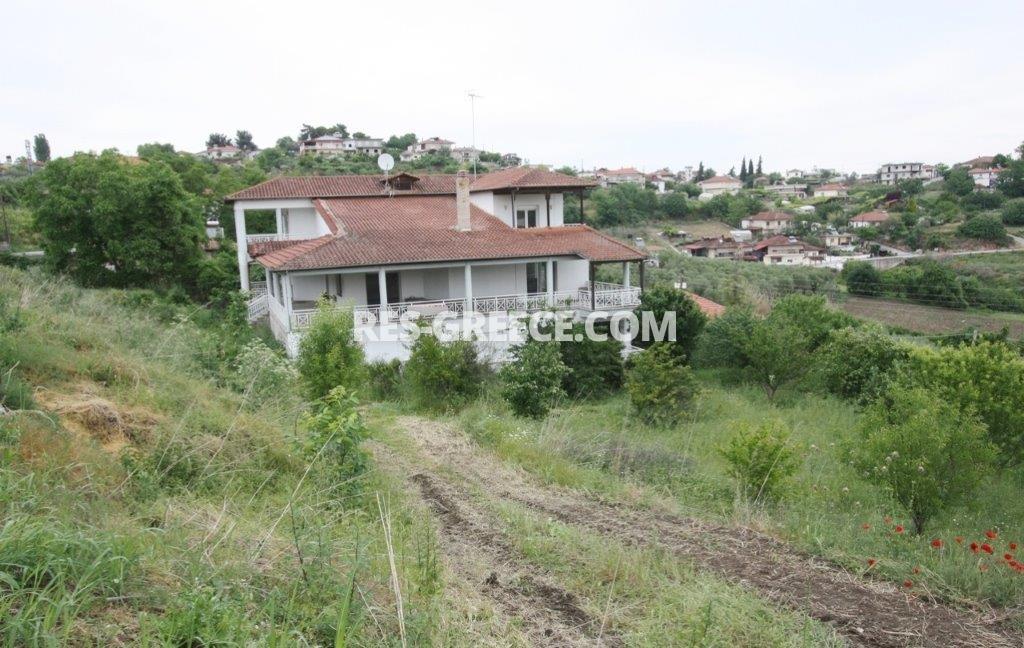 Ктитор, Центральная Македония, Греция -  - Фото 20