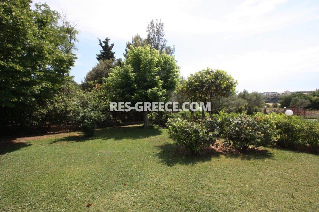 Рои, Центральная Македония, Греция -  - Фото 28