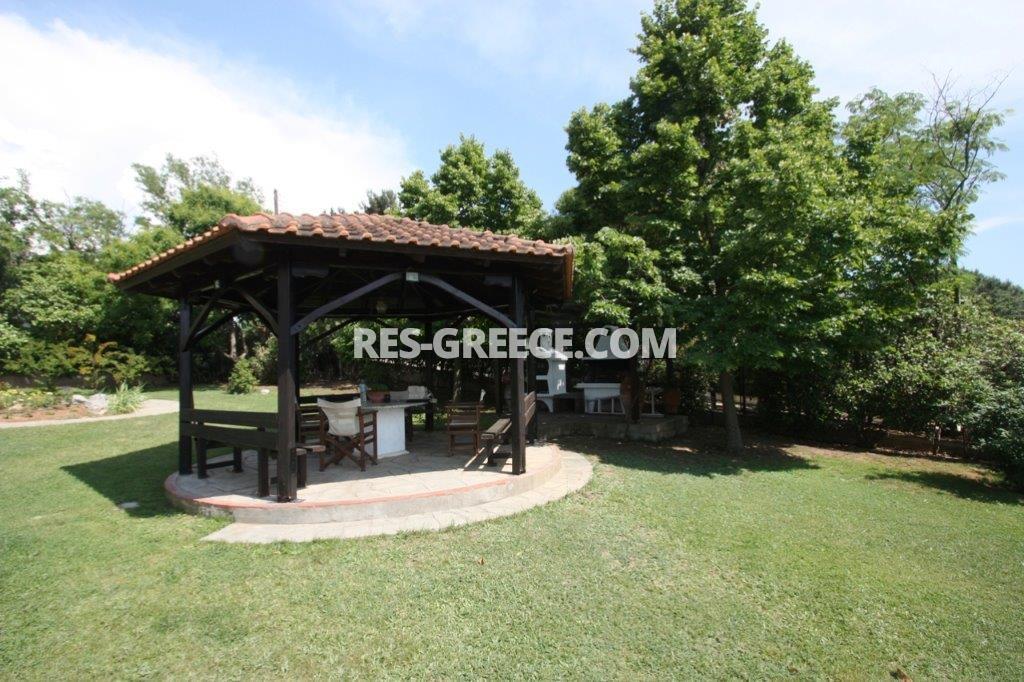 Рои, Центральная Македония, Греция -  - Фото 29