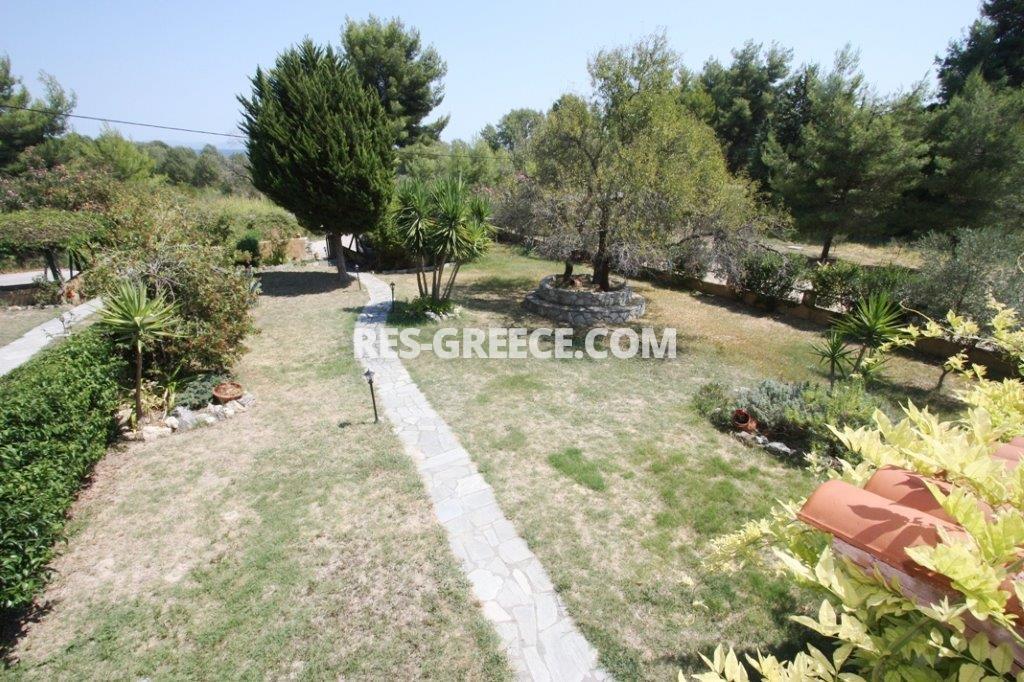 Ксеномило, Халкидики-Кассандра, Греция -  - Фото 18