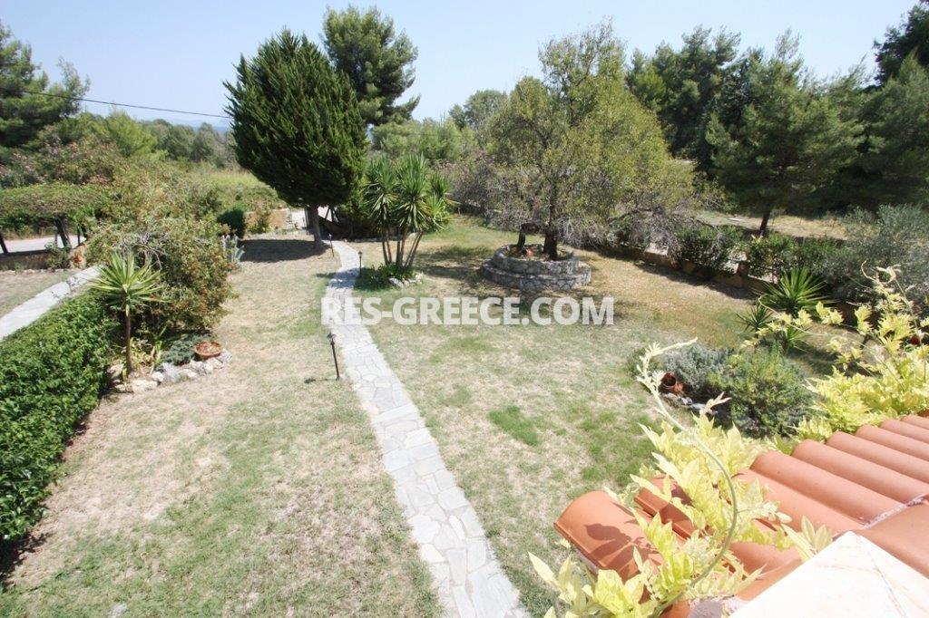 Ксеномило, Халкидики-Кассандра, Греция -  - Фото 20