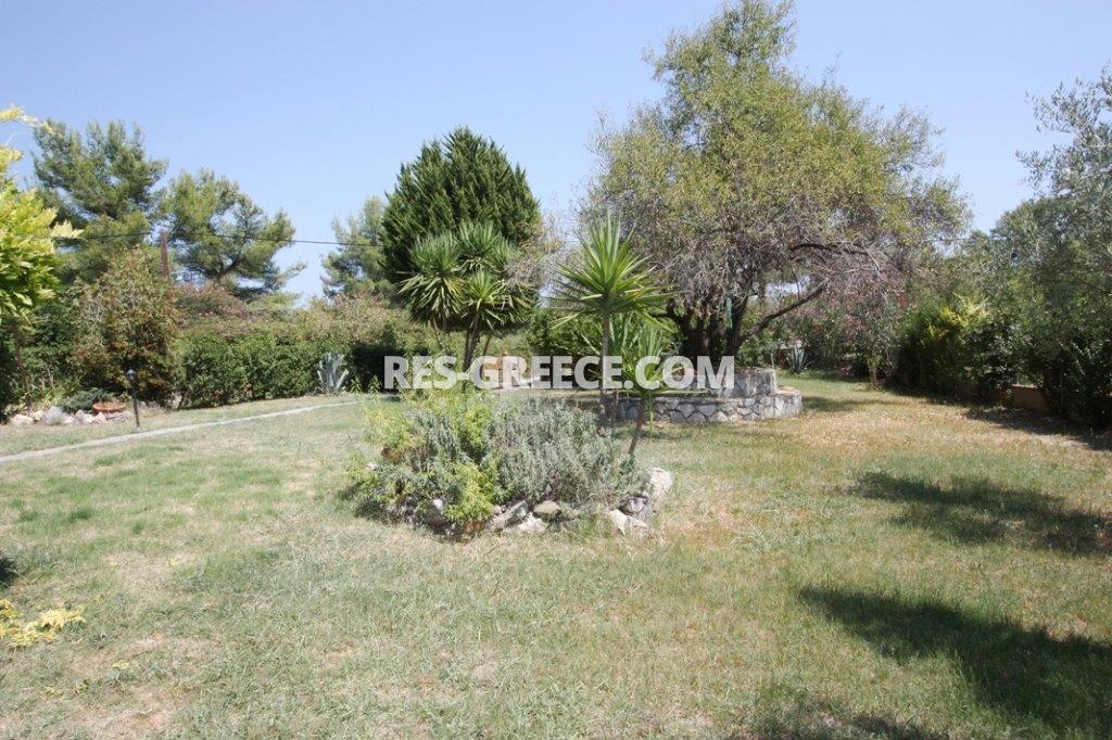 Ксеномило, Халкидики-Кассандра, Греция -  - Фото 21