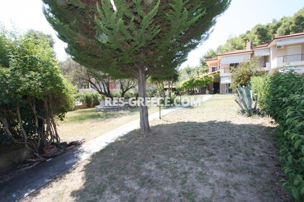 Ксеномило, Халкидики-Кассандра, Греция -  - Фото 22