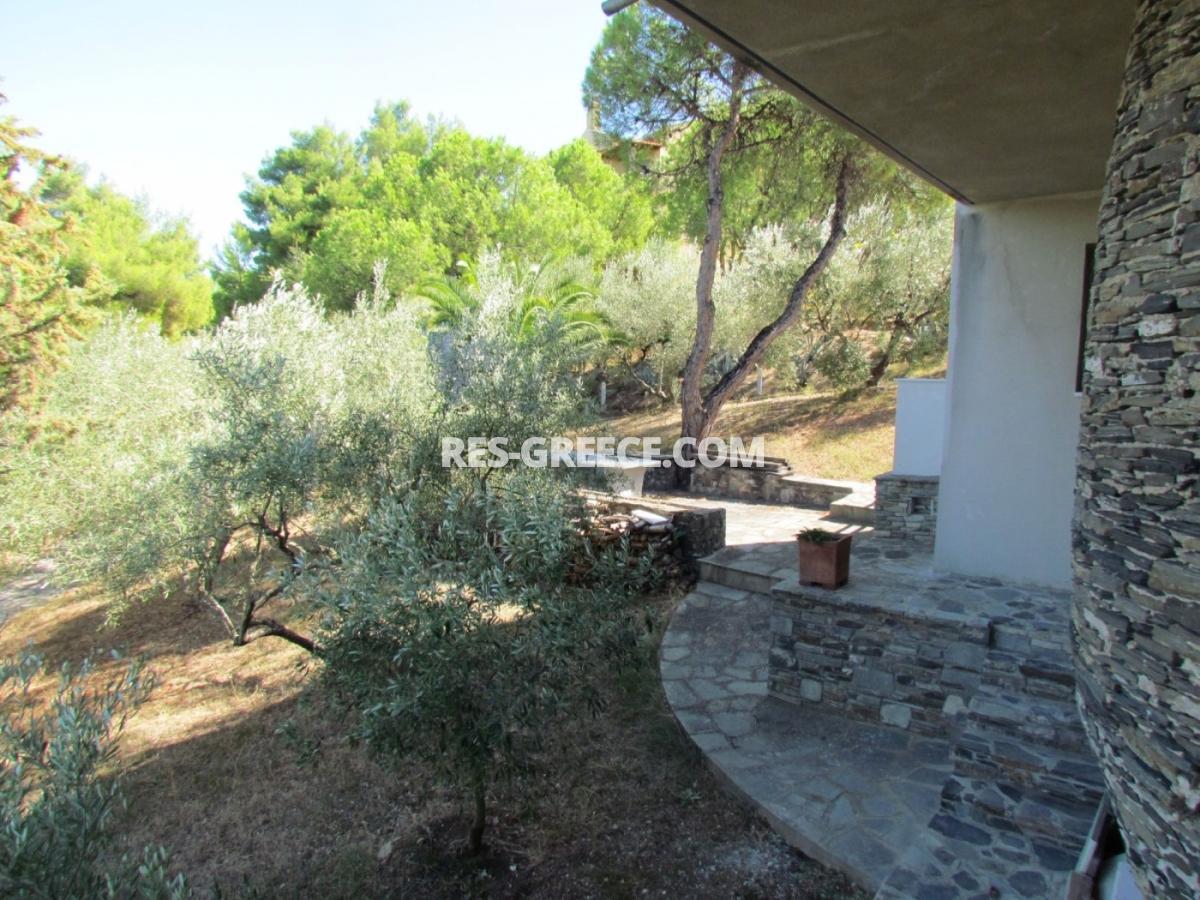 Пикродафни Вурвуру, Халкидики-Ситония, Греция -  - Фото 40