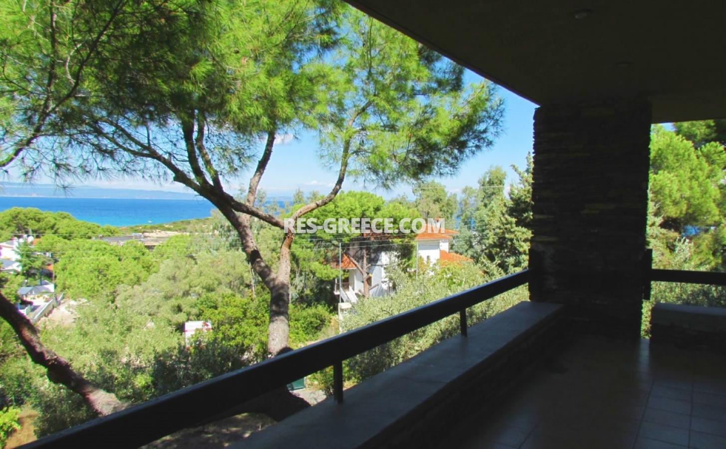 Пикродафни Вурвуру, Халкидики-Ситония, Греция -  - Фото 38