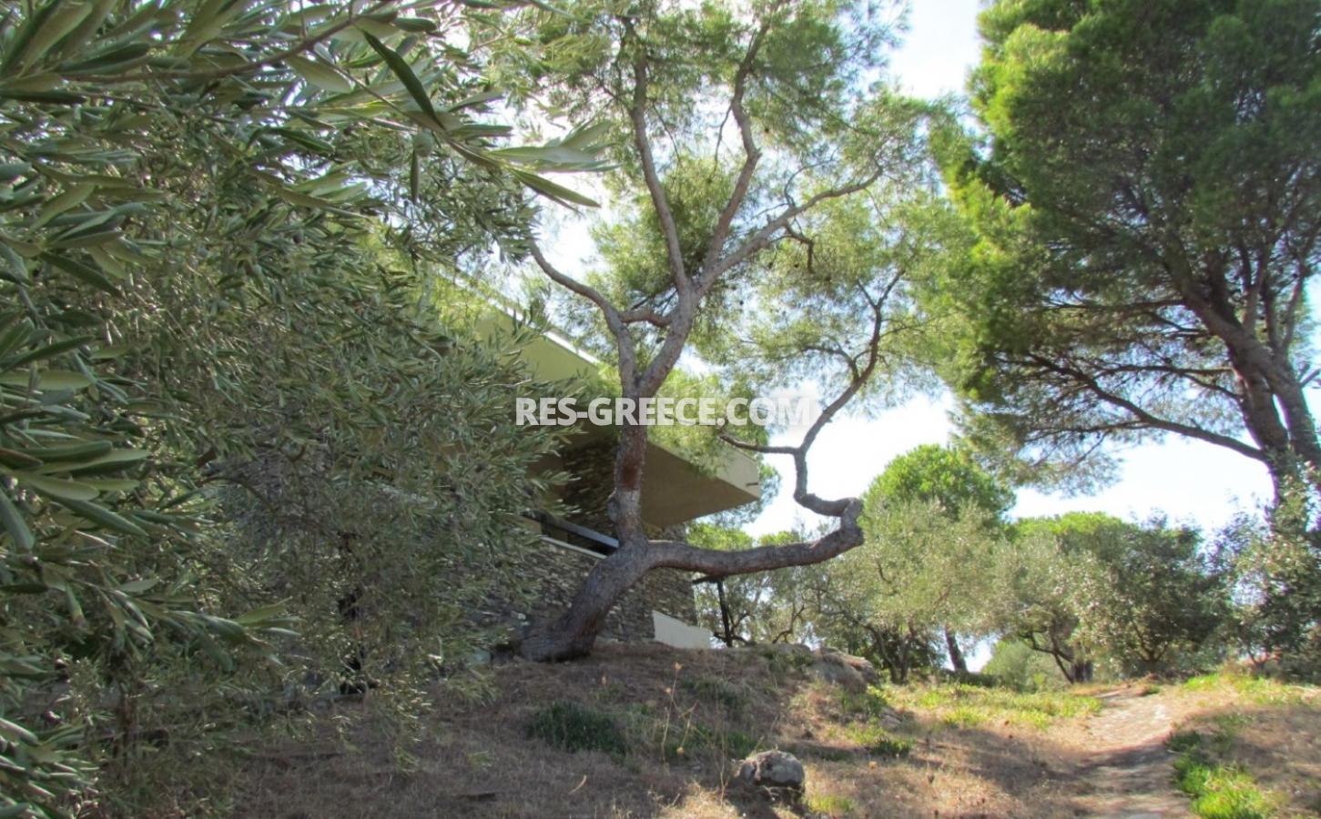 Пикродафни Вурвуру, Халкидики-Ситония, Греция -  - Фото 42