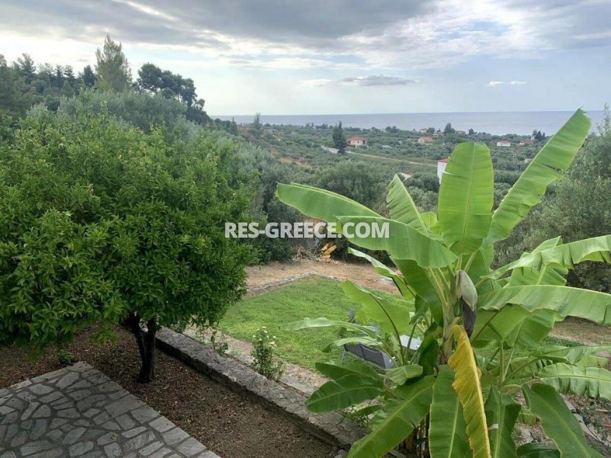 Гераклис, Халкидики-Кассандра, Греция - традиционная вилла для отдыха на большом участке - Фото 22