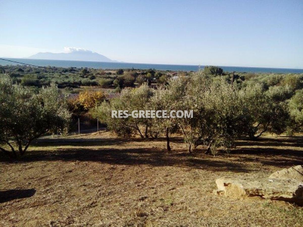 Пилос, Восточная Македония и Фракия, Греция - большая вилла для постоянного проживания - Фото 29