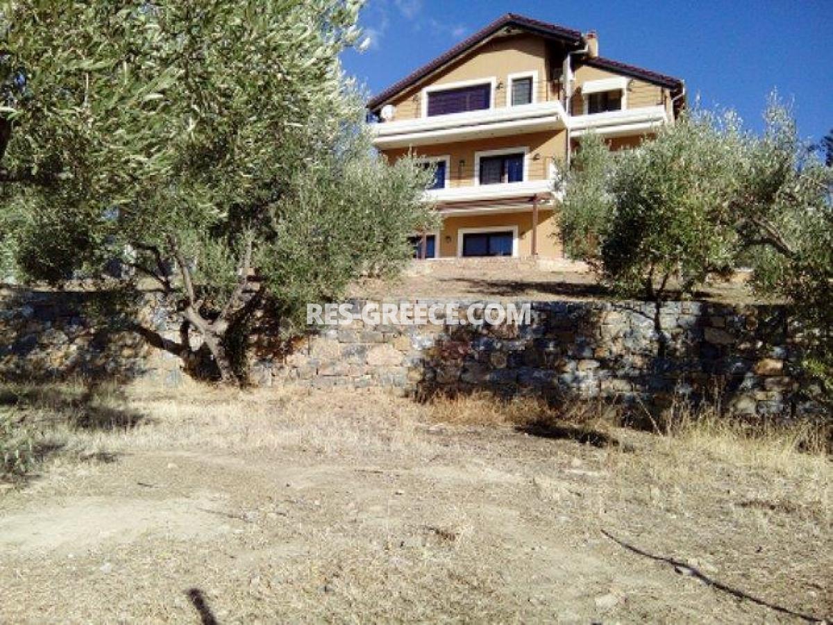 Пилос, Восточная Македония и Фракия, Греция - большая вилла для постоянного проживания - Фото 31