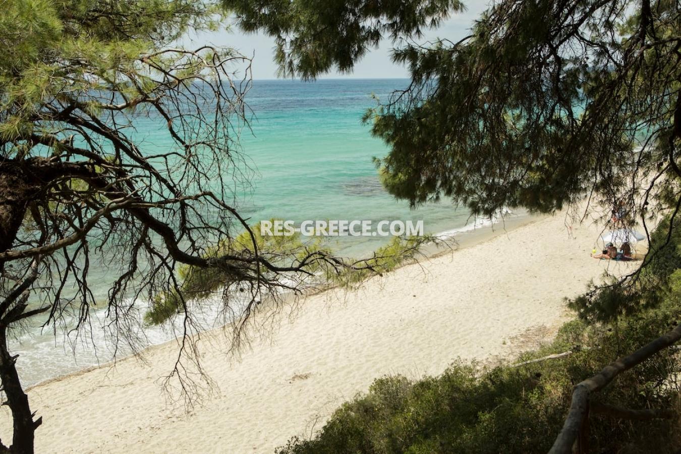 Лихнари 1, Халкидики-Кассандра, Греция -  - Фото 13