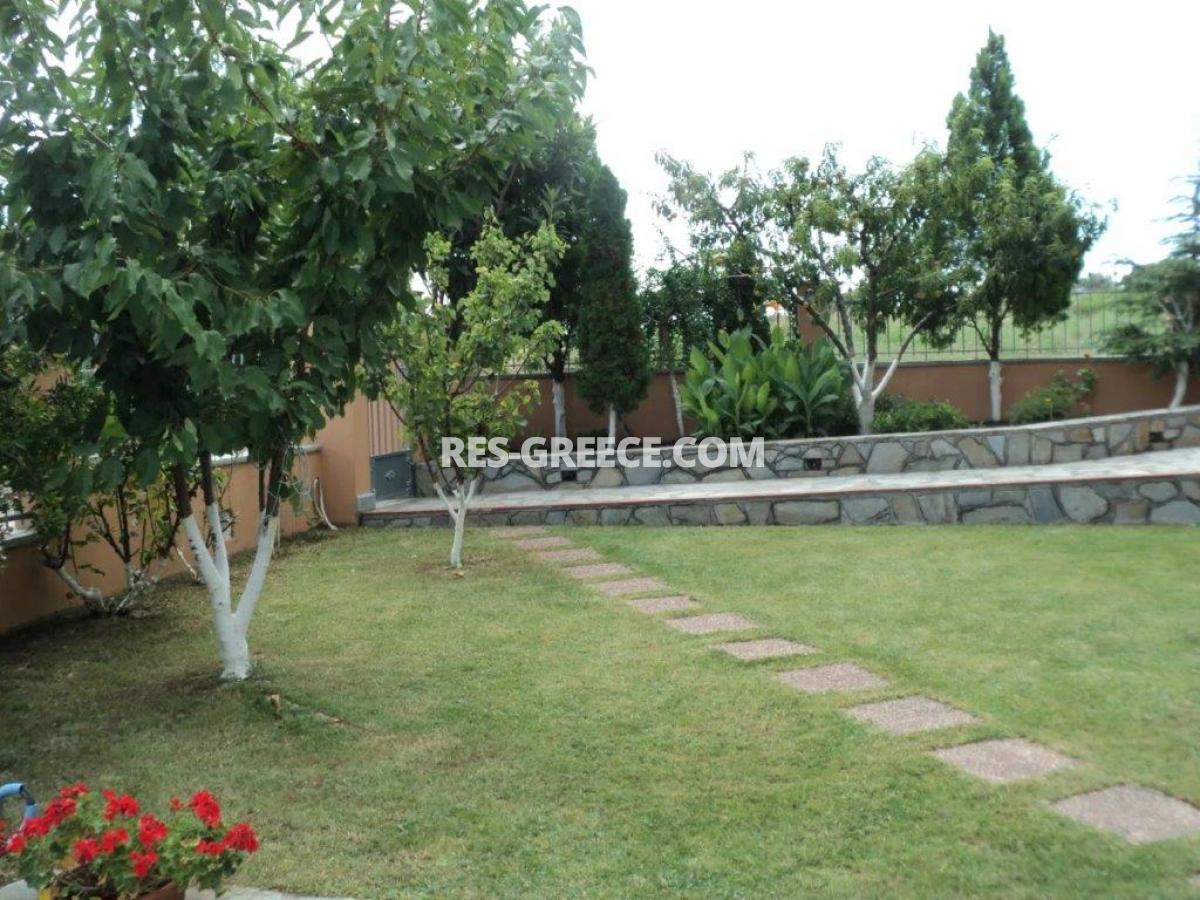 Платания, Халкидики-Ситония, Греция - дом для большой семьи для отдыха и аренды - Фото 14