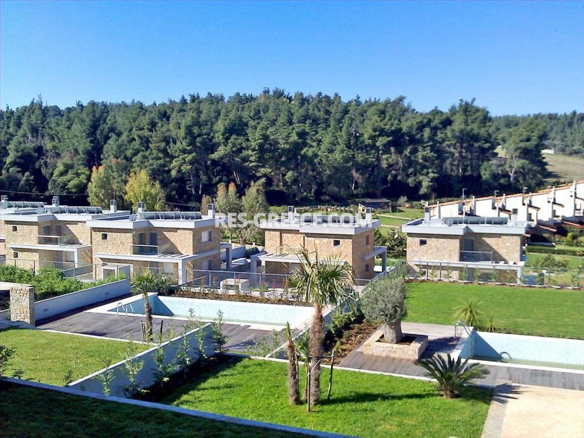 Додо Сани, Халкидики-Кассандра, Греция -  - Фото 6