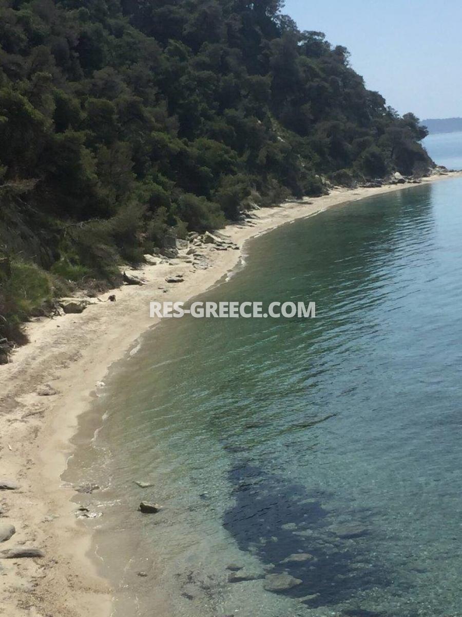 Дасотопи 3, Халкидики-Кассандра, Греция - илла в комплексе на 1 линии моря с бассейном и лифтом на море - Фото 27