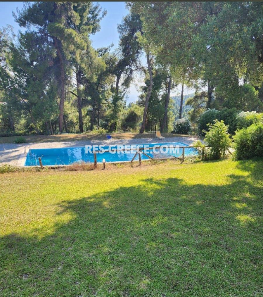 Маркос, Халкидики-Кассандра, Греция - коттедж в сосновом лесу в комплексе с бассейном - Фото 32