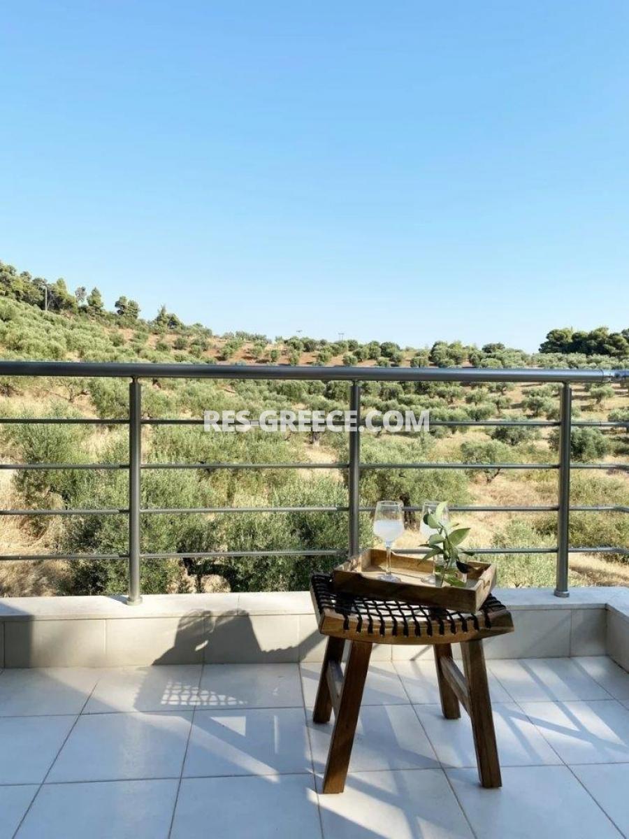 Нефели, Халкидики-Ситония, Греция - полностью меблированный дом - ивестиции в аренду - Фото 33