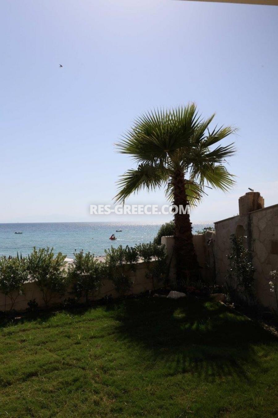 Леон, Халкидики-Кассандра, Греция - просторная вилла на пляже - Фото 35