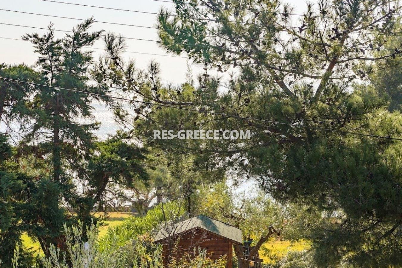 Прометеас, Халкидики-Ситония, Греция - большая вилла под реновацию в престижном месте в 80м от моря  - Фото 32