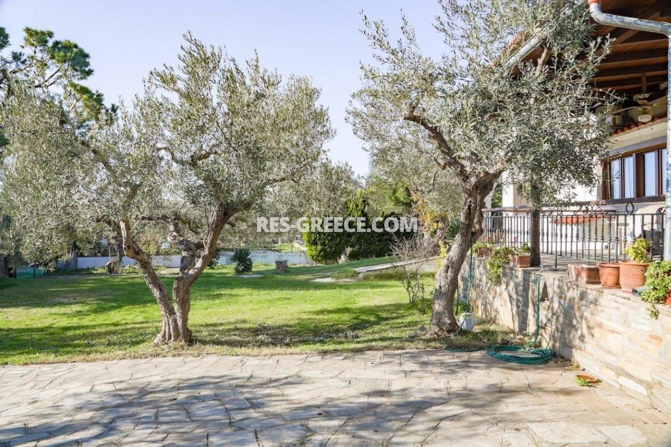 Прометеас, Халкидики-Ситония, Греция - большая вилла под реновацию в престижном месте в 80м от моря  - Фото 26