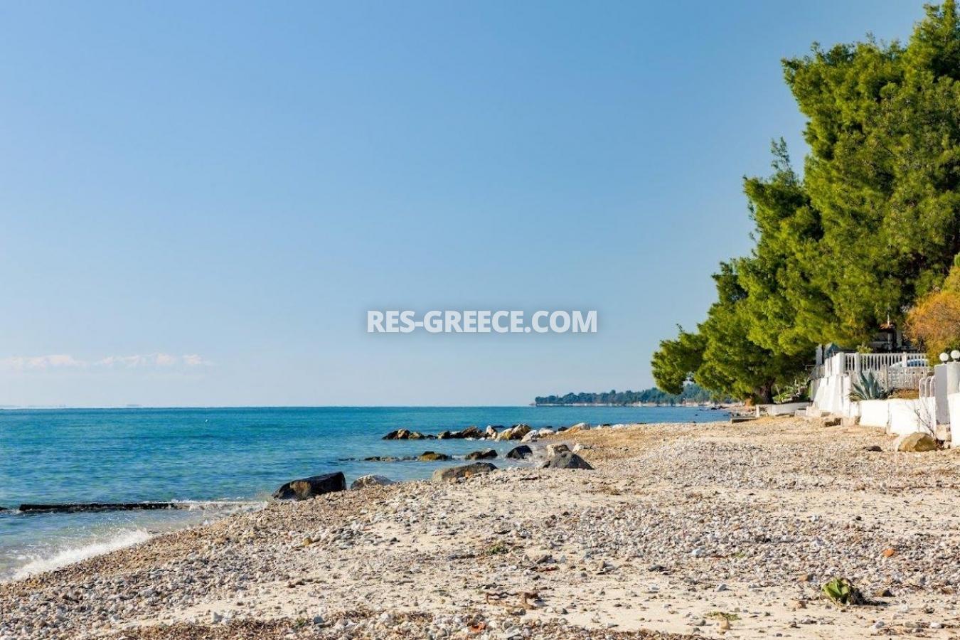 Прометеас, Халкидики-Ситония, Греция - большая вилла под реновацию в престижном месте в 80м от моря  - Фото 47