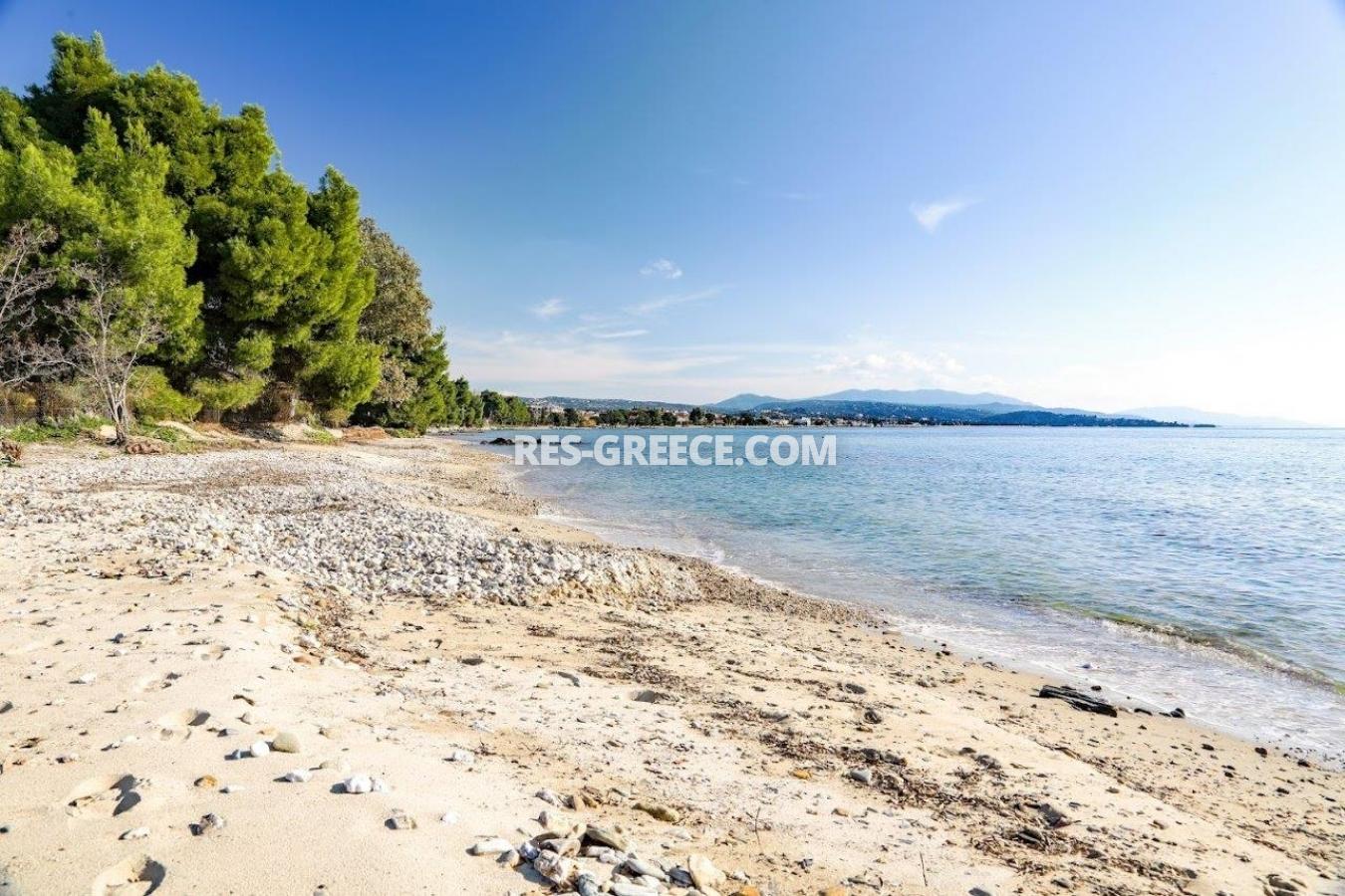 Прометеас, Халкидики-Ситония, Греция - большая вилла под реновацию в престижном месте в 80м от моря  - Фото 49