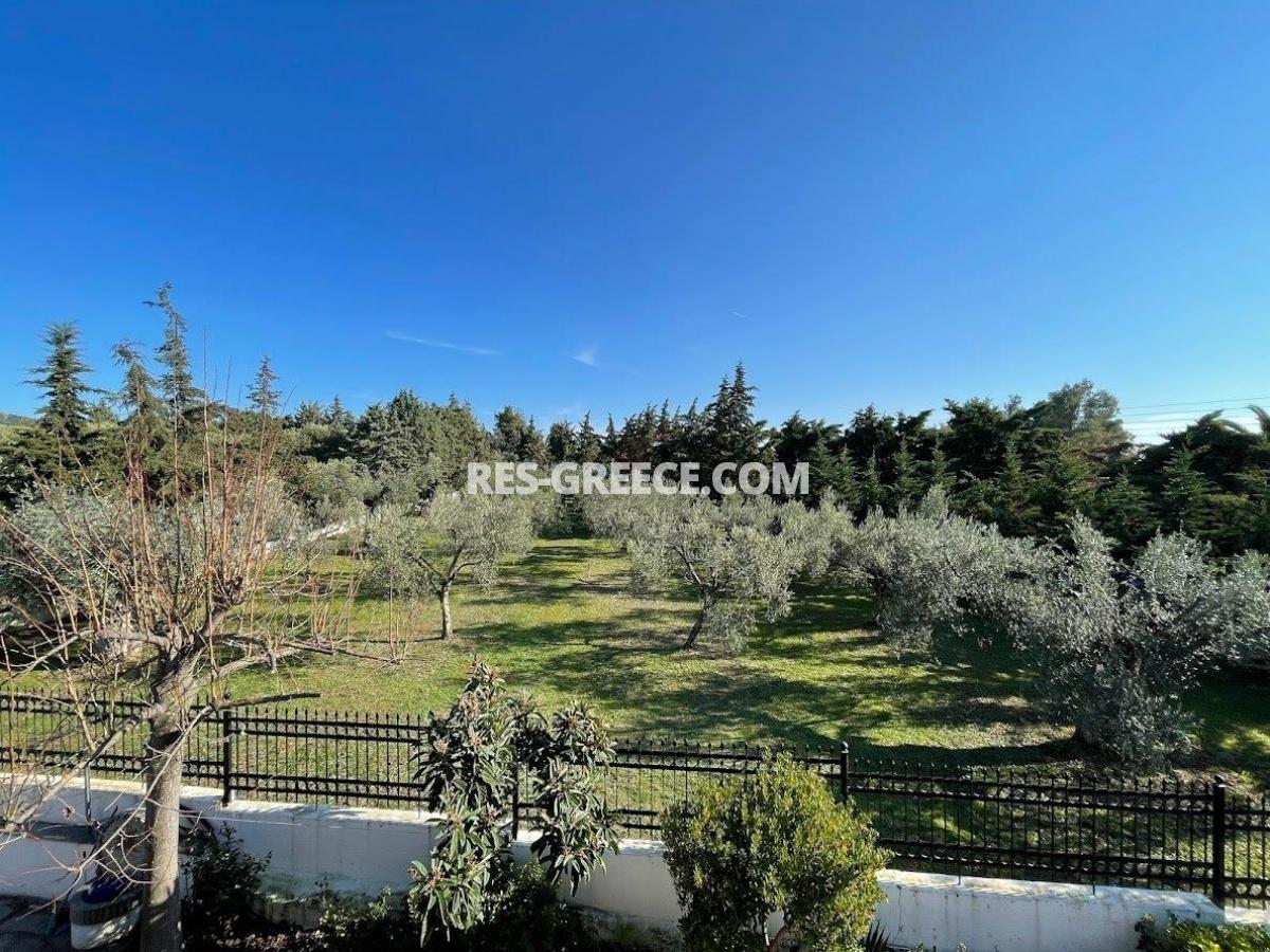 Прометеас, Халкидики-Ситония, Греция - большая вилла под реновацию в престижном месте в 80м от моря  - Фото 33