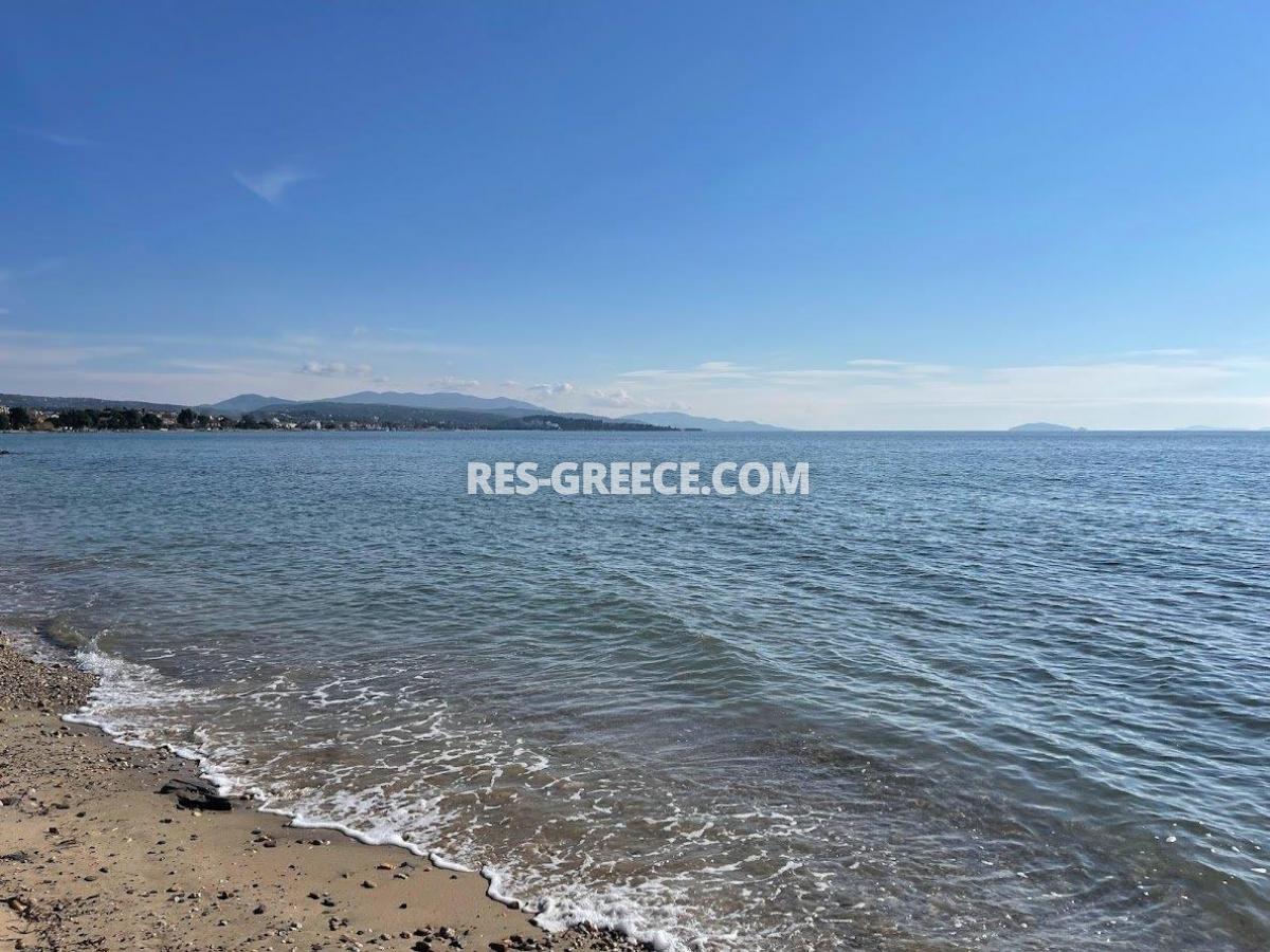 Прометеас, Халкидики-Ситония, Греция - большая вилла под реновацию в престижном месте в 80м от моря  - Фото 50