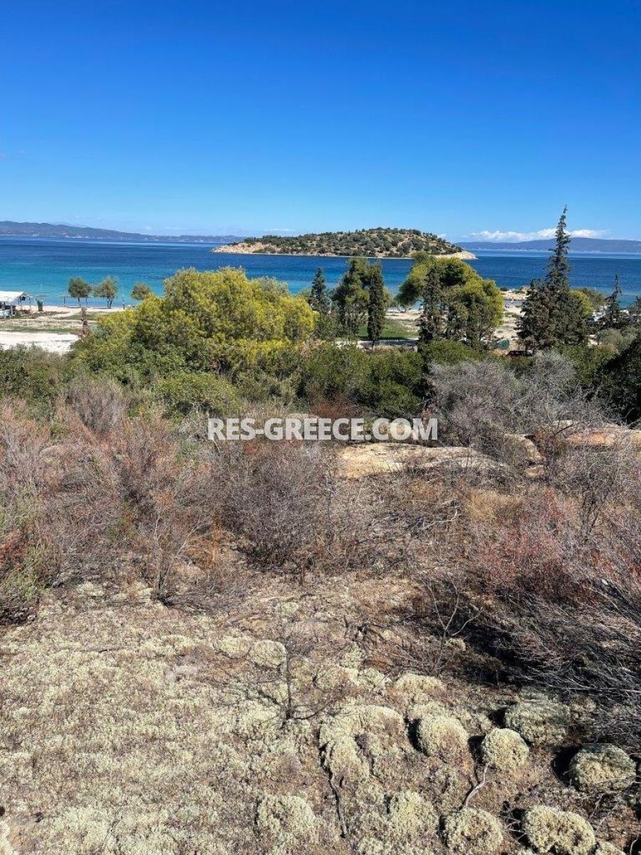 Участок Лаго, Халкидики-Ситония, Греция -  участок у прекрасного пляжа с разрешением на строительство - Фото 14