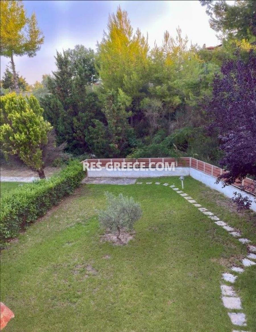 Кристало, Халкидики-Кассандра, Греция - уютный коттедж в комплексе у моря - Фото 19