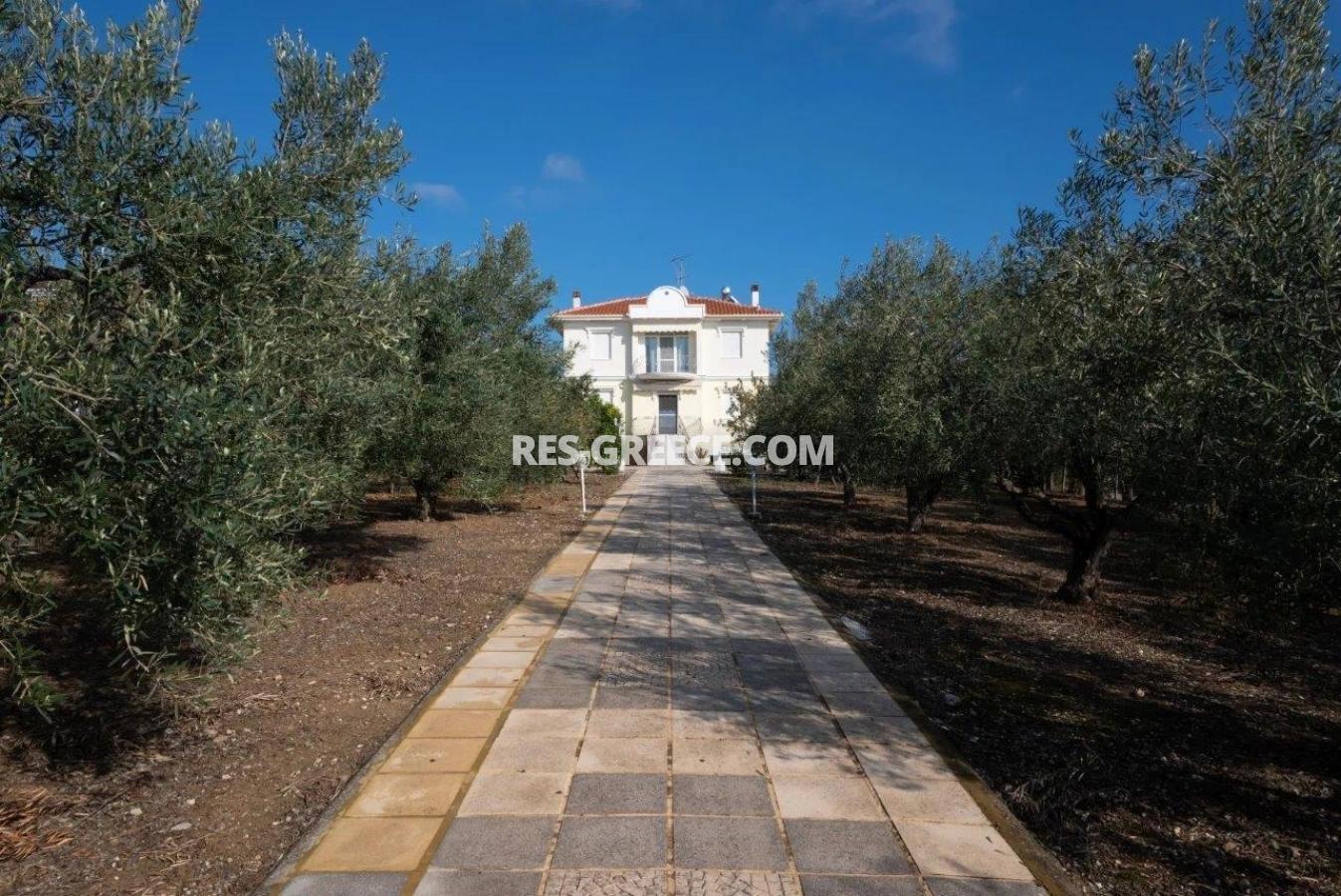 Евгения, Халкидики-Кассандра, Греция - красивая вилла с ухоженным садом и панорамными видами - Фото 21