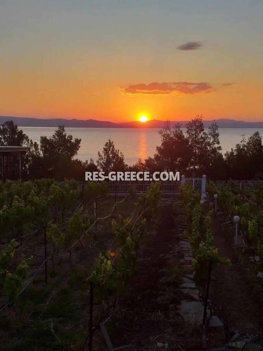 Евгения, Халкидики-Кассандра, Греция - красивая вилла с ухоженным садом и панорамными видами - Фото 41