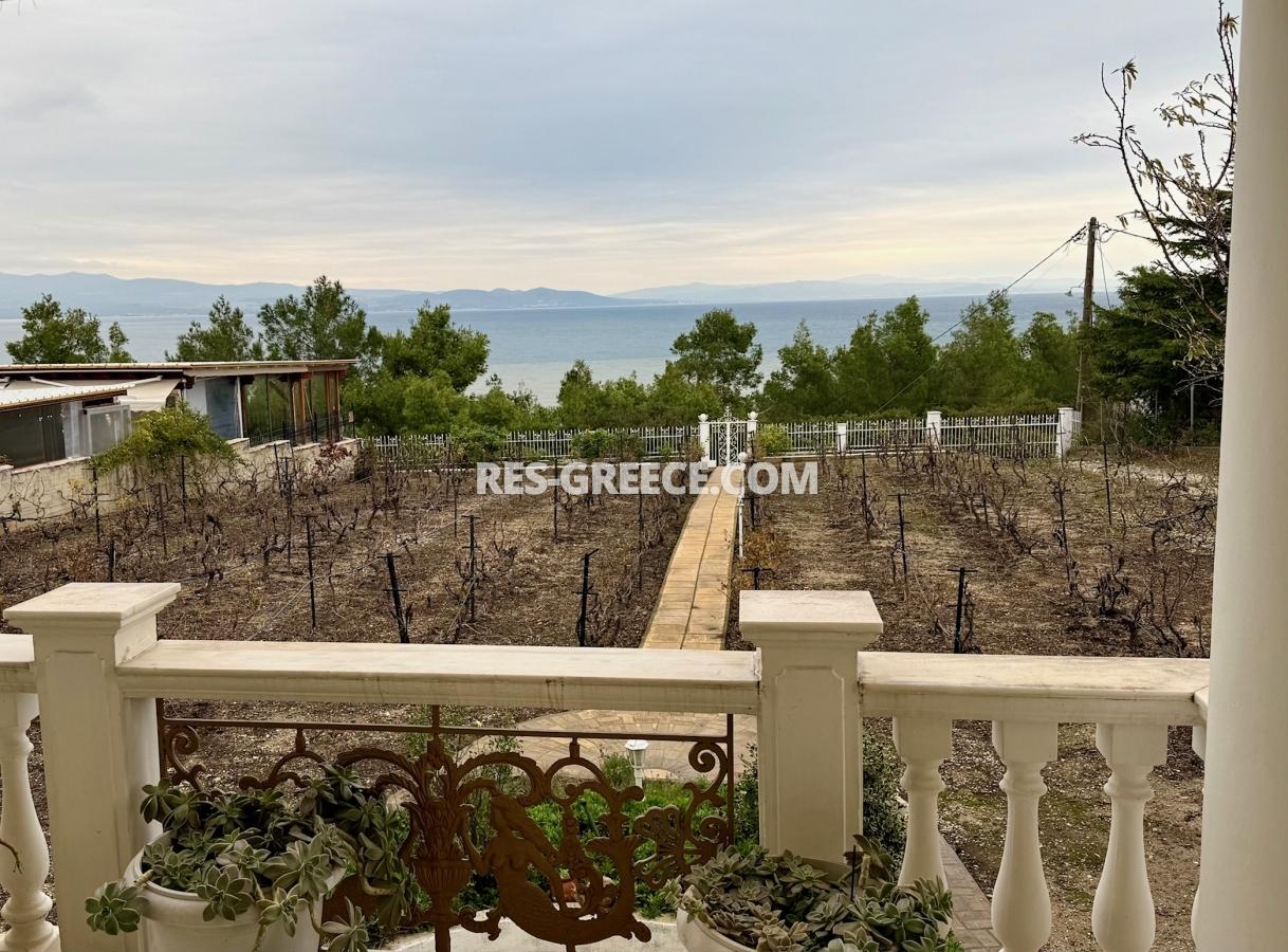 Евгения, Халкидики-Кассандра, Греция - красивая вилла с ухоженным садом и панорамными видами - Фото 38