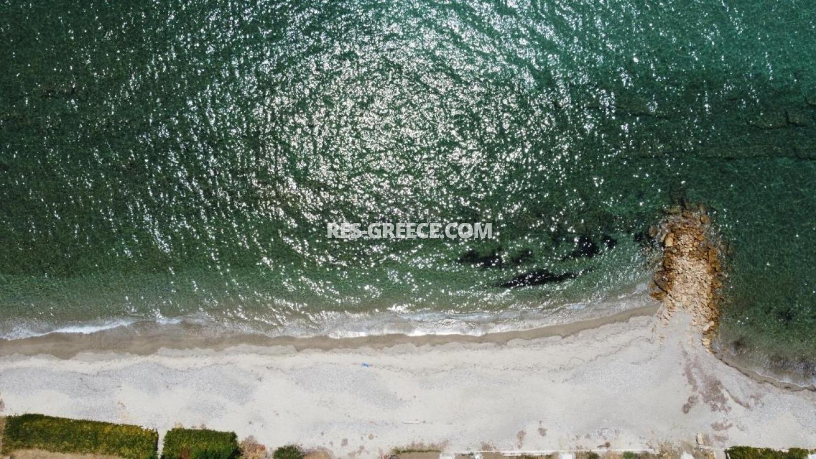 Эсперос 3, Халкидики-Кассандра, Греция -  - Фото 31