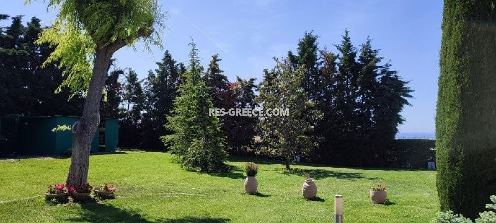 Зевс, Центральная Македония, Греция - вилла в пригороде Салоник для постоянного проживания и отдыха - Фото 20