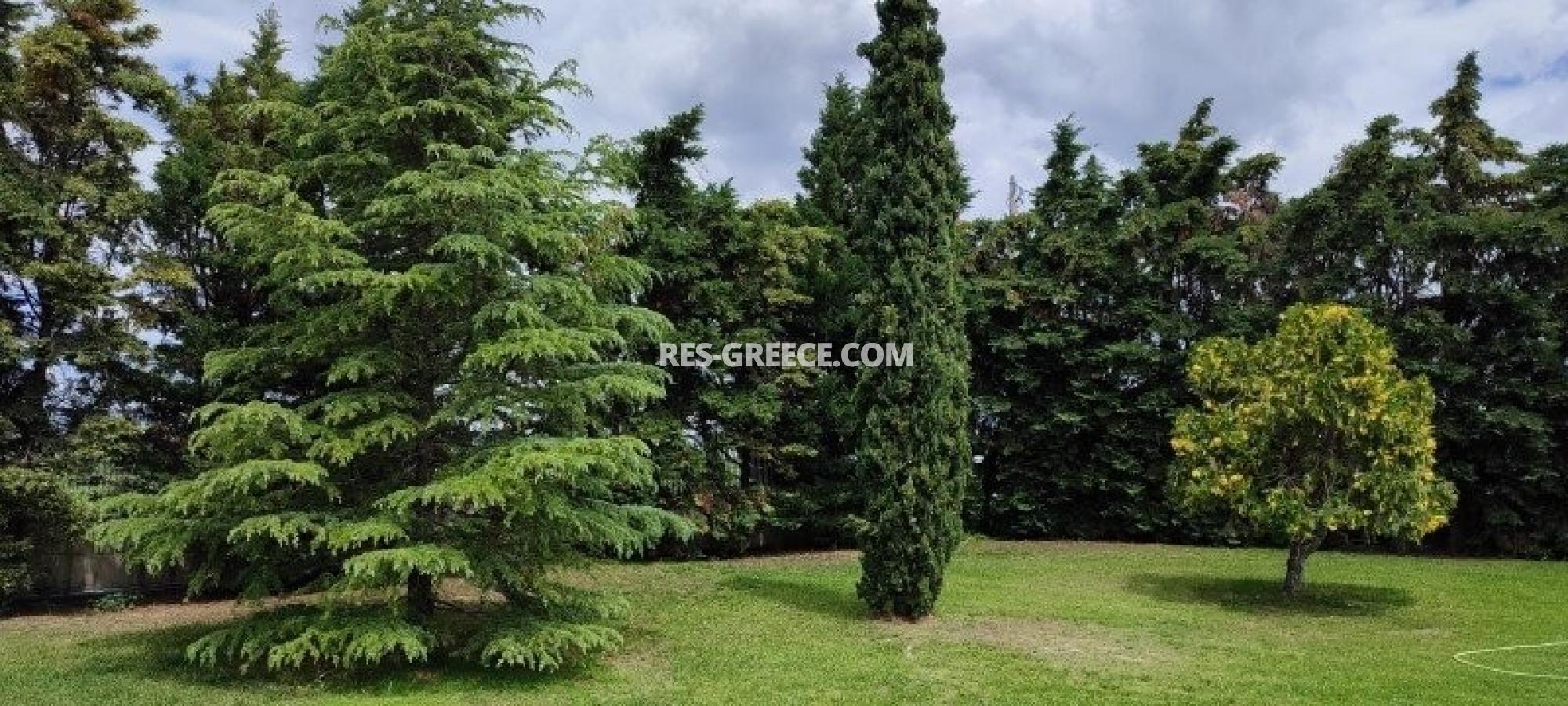 Зевс, Центральная Македония, Греция - вилла в пригороде Салоник для постоянного проживания и отдыха - Фото 21