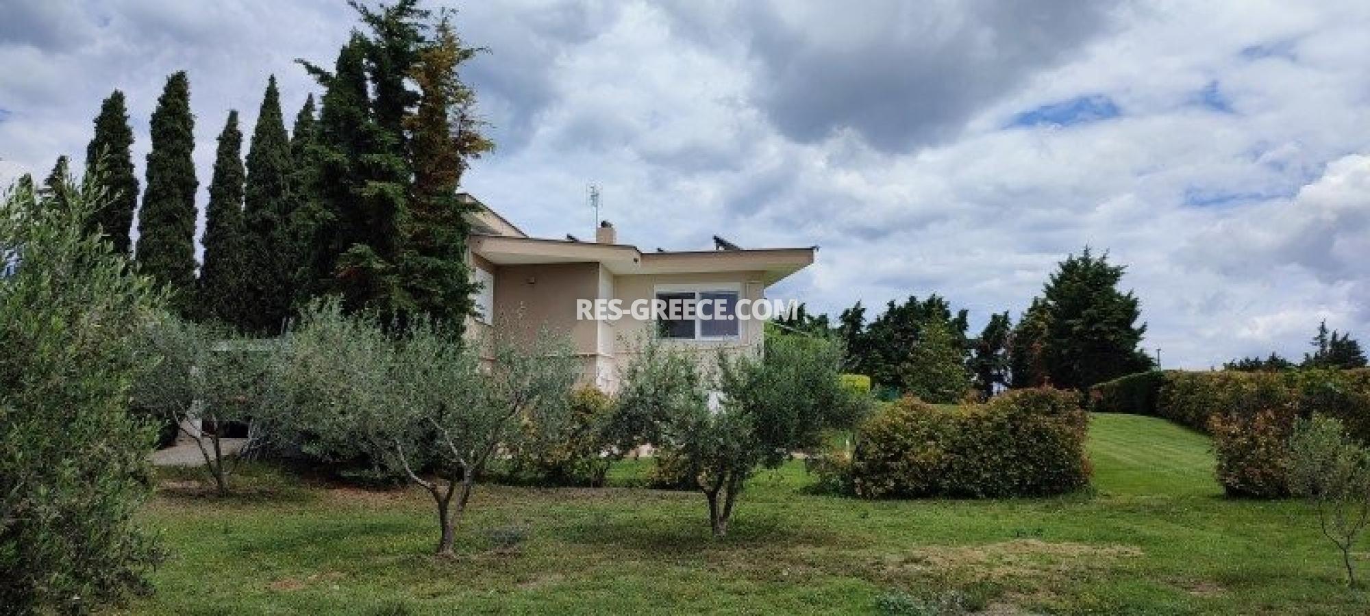 Зевс, Центральная Македония, Греция - вилла в пригороде Салоник для постоянного проживания и отдыха - Фото 22