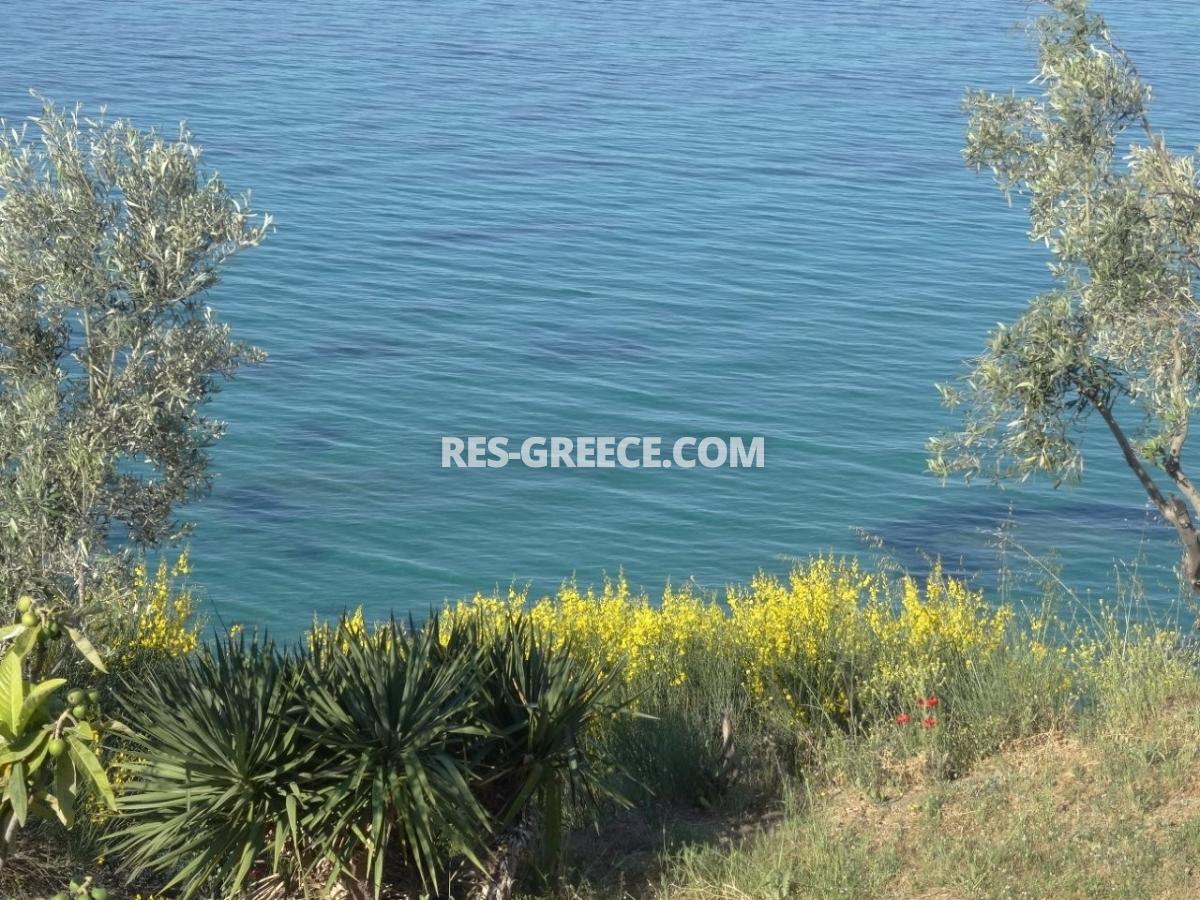 Персеас 2, Халкидики-Кассандра, Греция - бунгало на огороженном участке 5 соток в 70т от моря - Фото 21