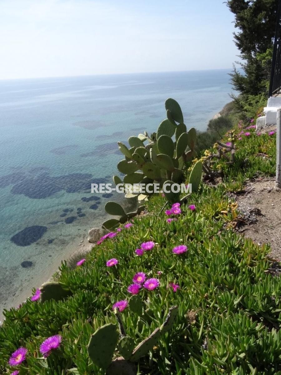 Персеас 2, Халкидики-Кассандра, Греция - бунгало на огороженном участке 5 соток в 70т от моря - Фото 23