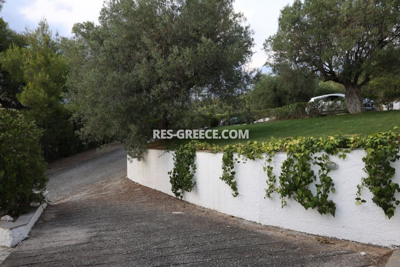 Эримитис, Халкидики-Ситония, Греция - традиционная вилла с бассейном и огромным садом на Ситонии - Фото 42