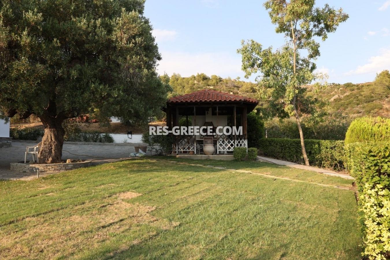 Эримитис, Халкидики-Ситония, Греция - традиционная вилла с бассейном и огромным садом на Ситонии - Фото 43