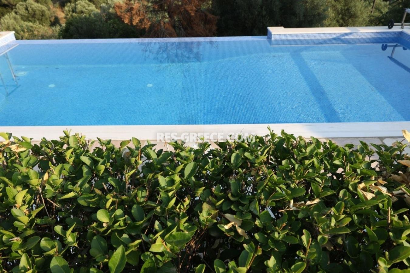 Эримитис, Халкидики-Ситония, Греция - традиционная вилла с бассейном и огромным садом на Ситонии - Фото 37