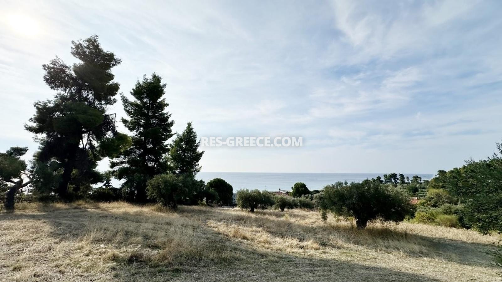 Участок Кассандра 25, Халкидики-Кассандра, Греция - участок в 160м от моря под строительство виллы - Фото 9