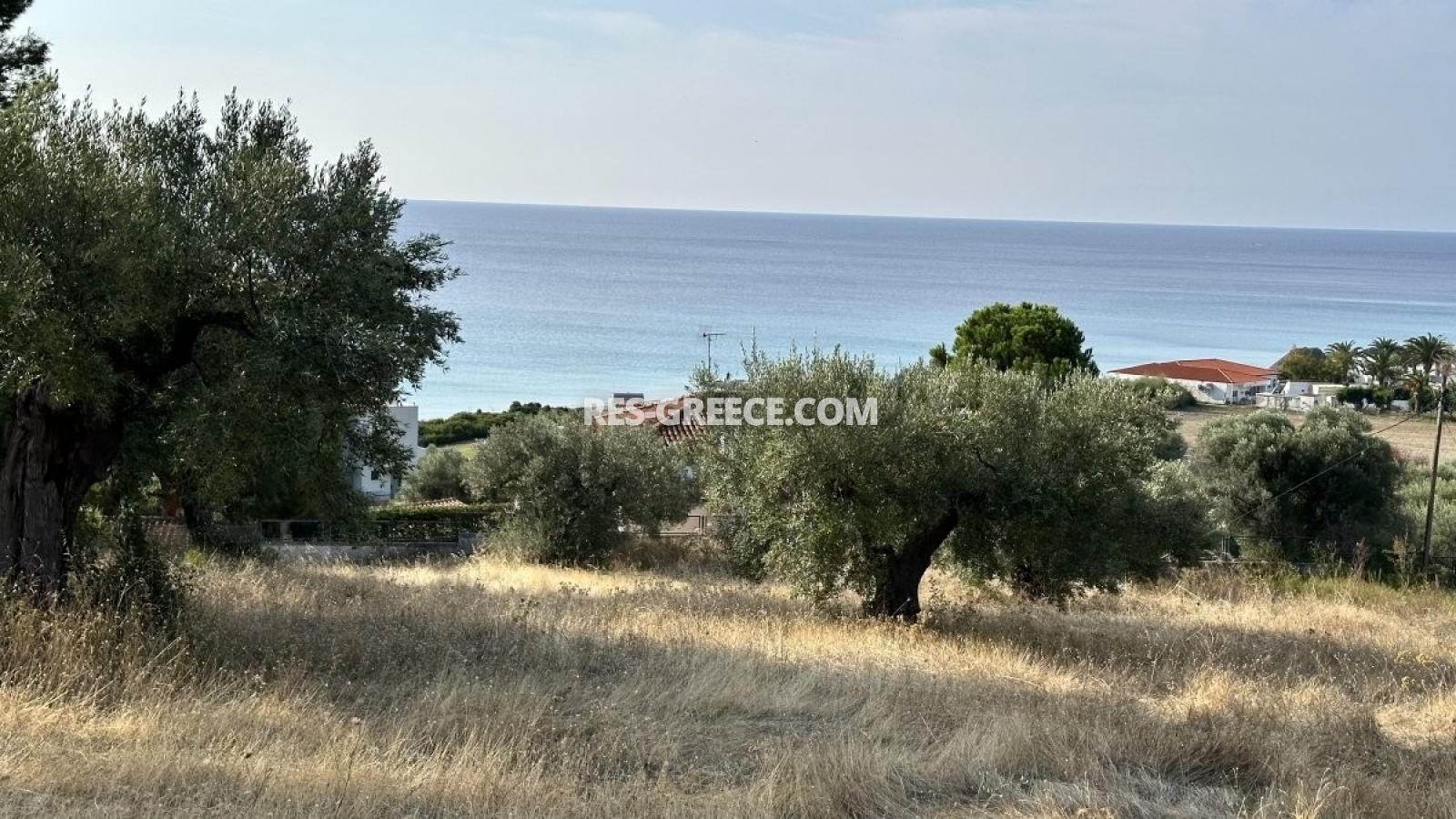 Участок Кассандра 25, Халкидики-Кассандра, Греция - участок в 160м от моря под строительство виллы - Фото 6