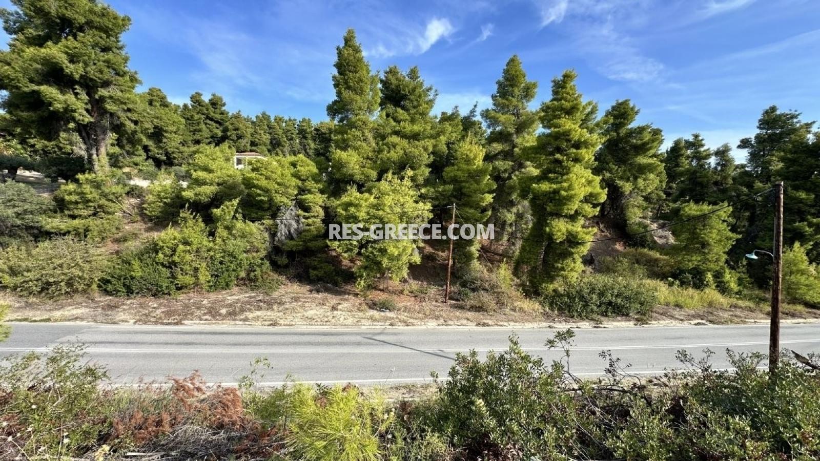 Участок Кассандра 25, Халкидики-Кассандра, Греция - участок в 160м от моря под строительство виллы - Фото 7