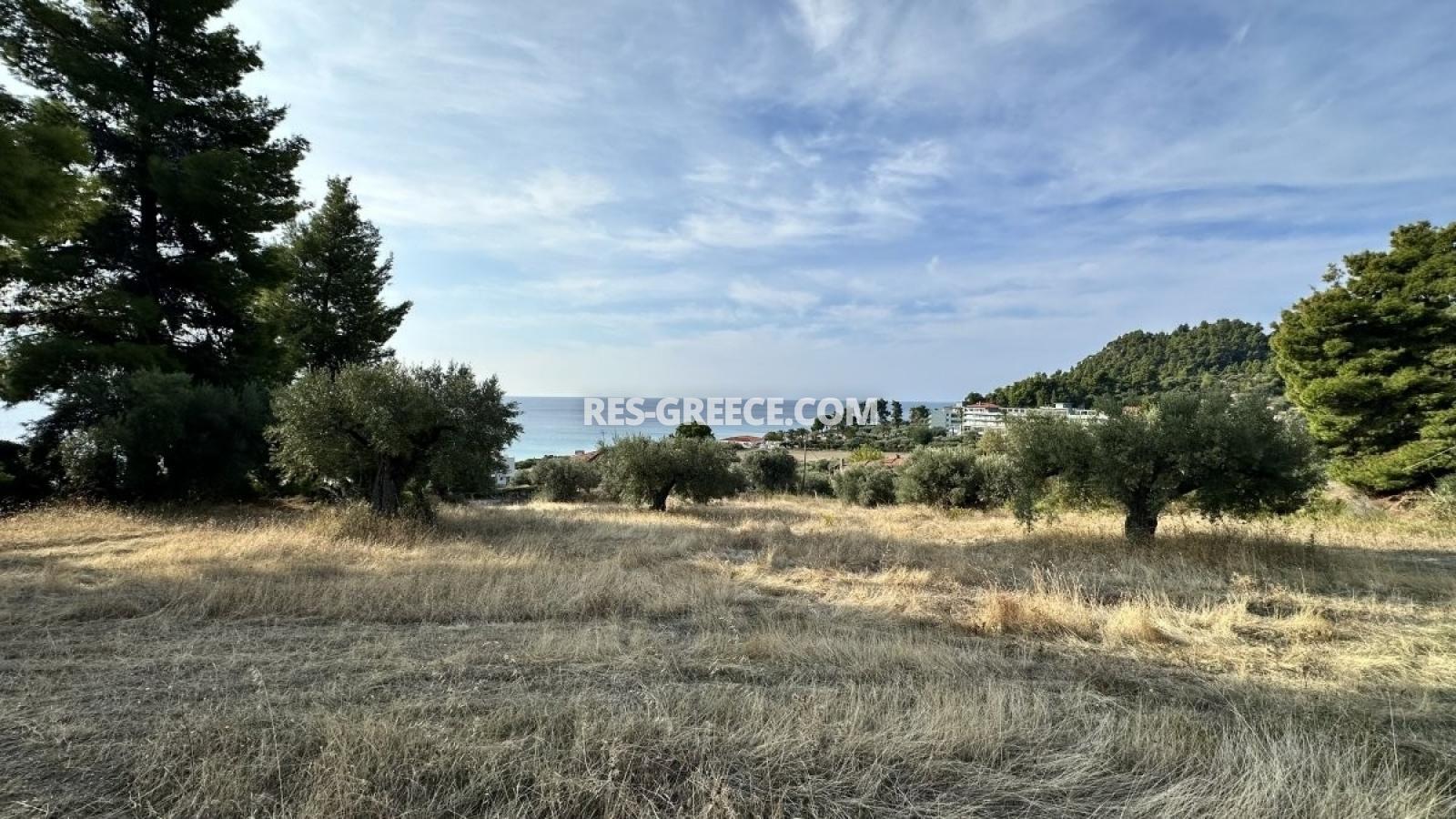 Участок Кассандра 25, Халкидики-Кассандра, Греция - участок в 160м от моря под строительство виллы - Фото 8