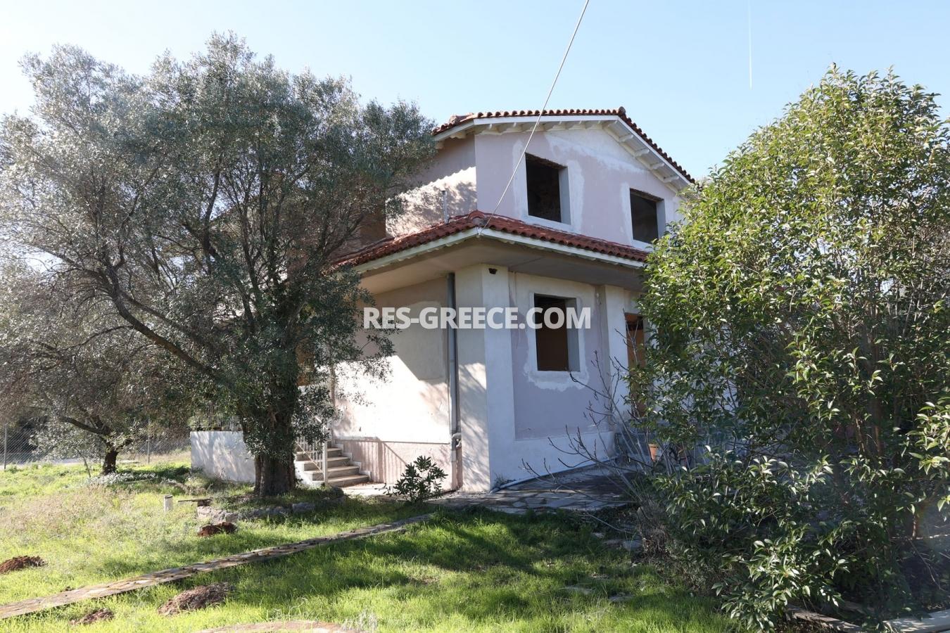 Кактус, Халкидики-Ситония, Греция - отдельностоящий дом на участке 10 соток под реновацию - Фото 10