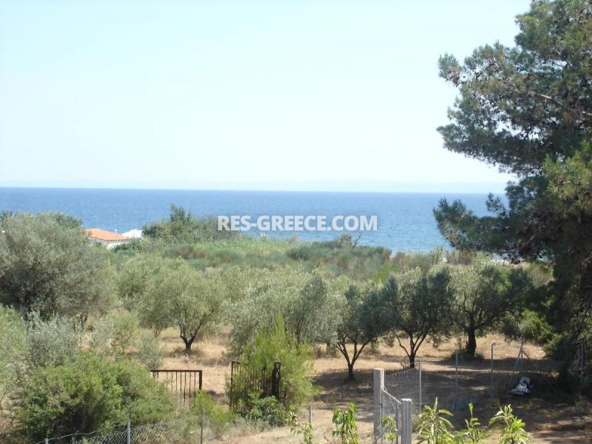 Кактус, Халкидики-Ситония, Греция - отдельностоящий дом на участке 10 соток под реновацию - Фото 12