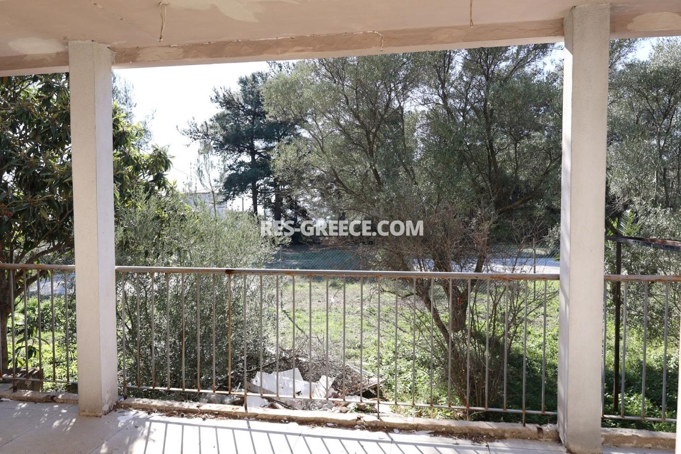 Кактус, Халкидики-Ситония, Греция - отдельностоящий дом на участке 10 соток под реновацию - Фото 6